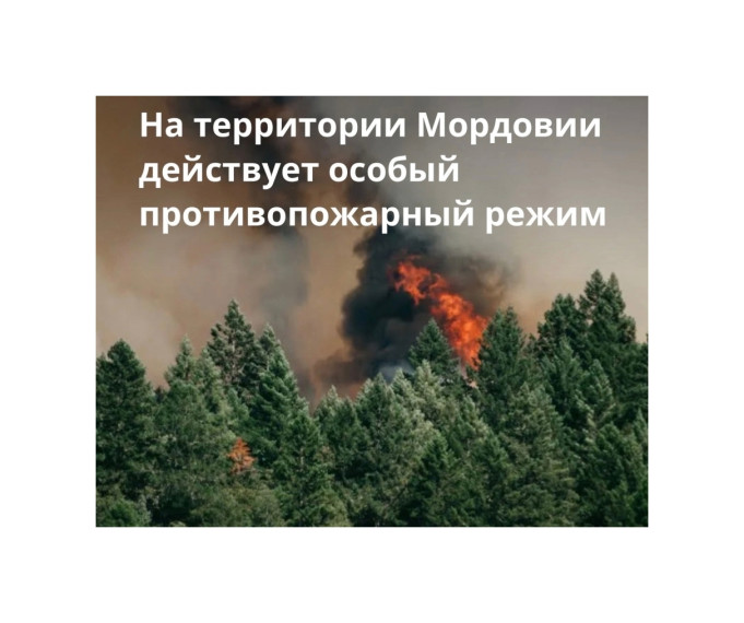 Противопожарный режим. Противопожарный режим.